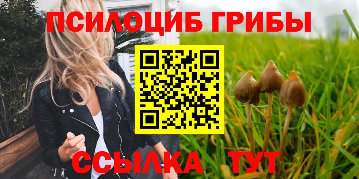 Галлюциногенные грибы Psilocybe Жуковский